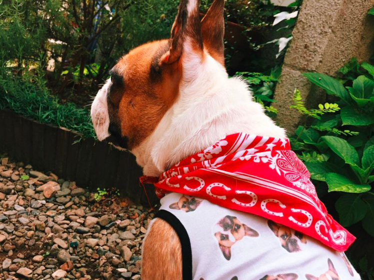 Screen Shot 2016-07-25 at 5.46.07 PM